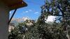 Hostal Guesthouse Edelweiss