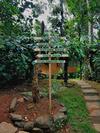 Hotel Bamboo Creek Resort