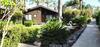Lodge Pine Tree Cabin