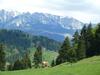 Hostal Ranger Chalet